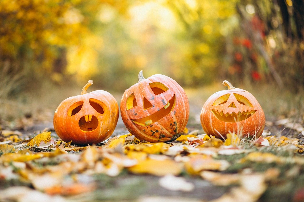 Protect Your Little Monsters: Halloween Safety Guide